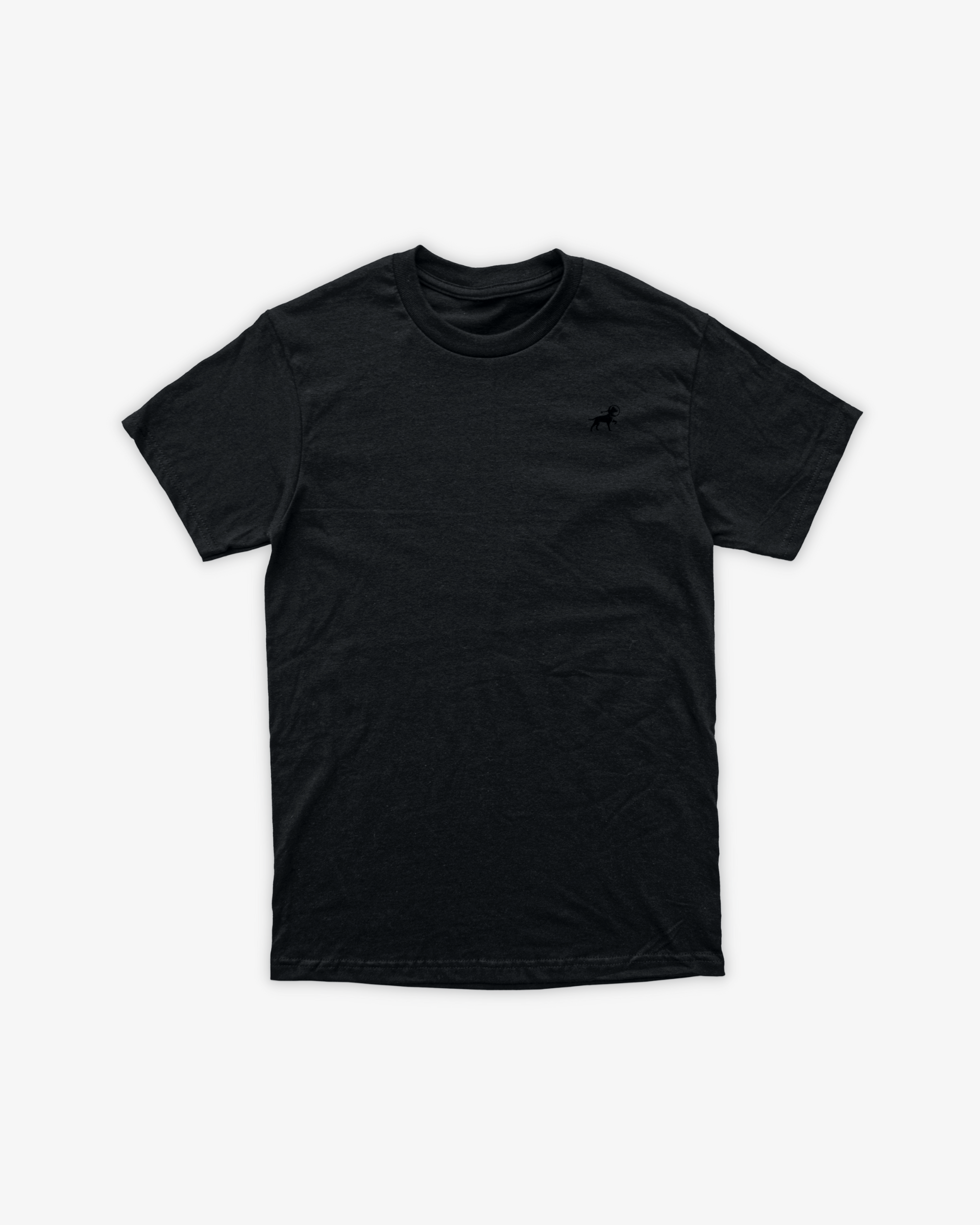 HEMP ASTER CLASSIC T-SHIRT - NEGRO
