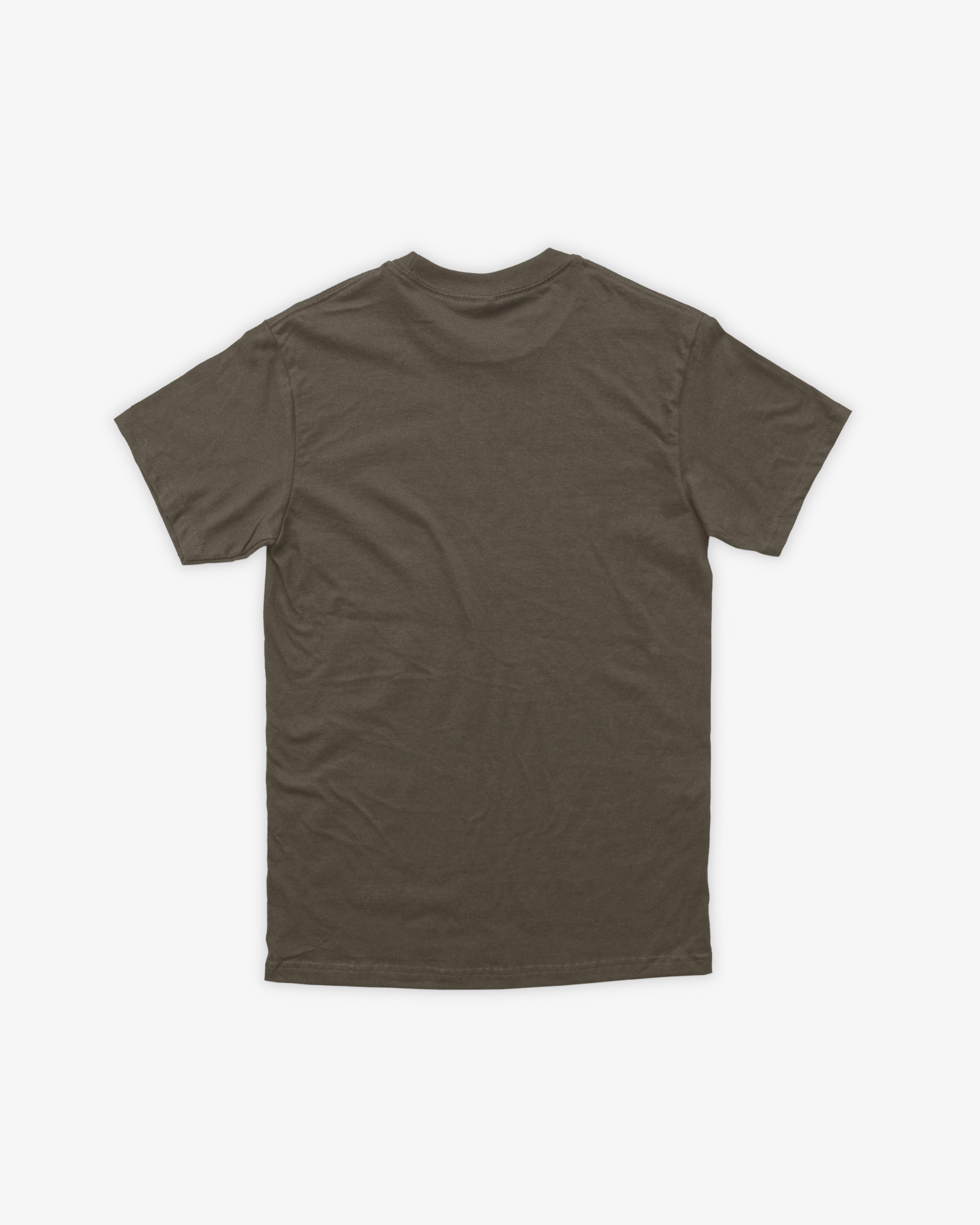 Aster Classic Earthy Green T-shirt