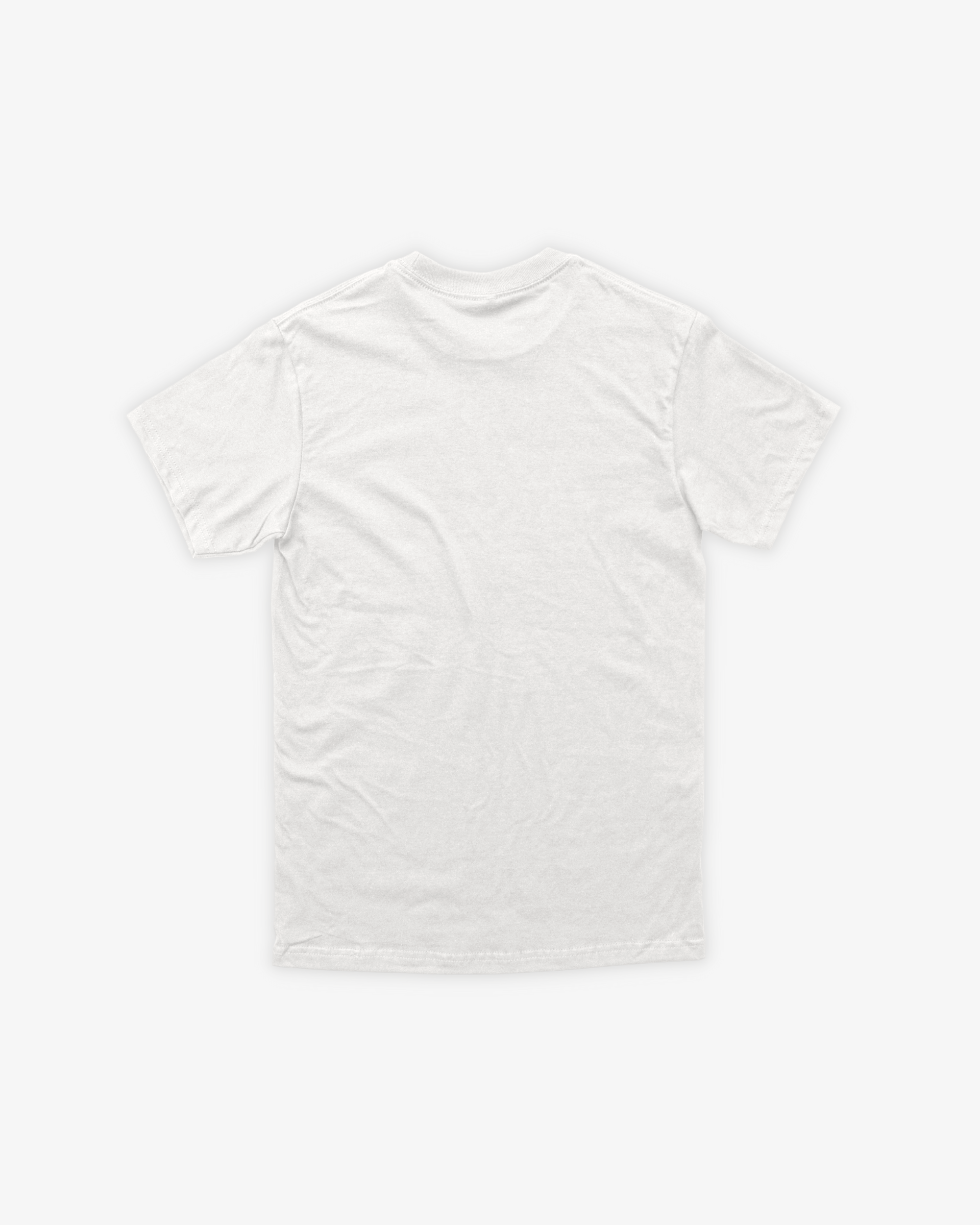 HEMP ASTER CLASSIC T-SHIRT - BLANCO