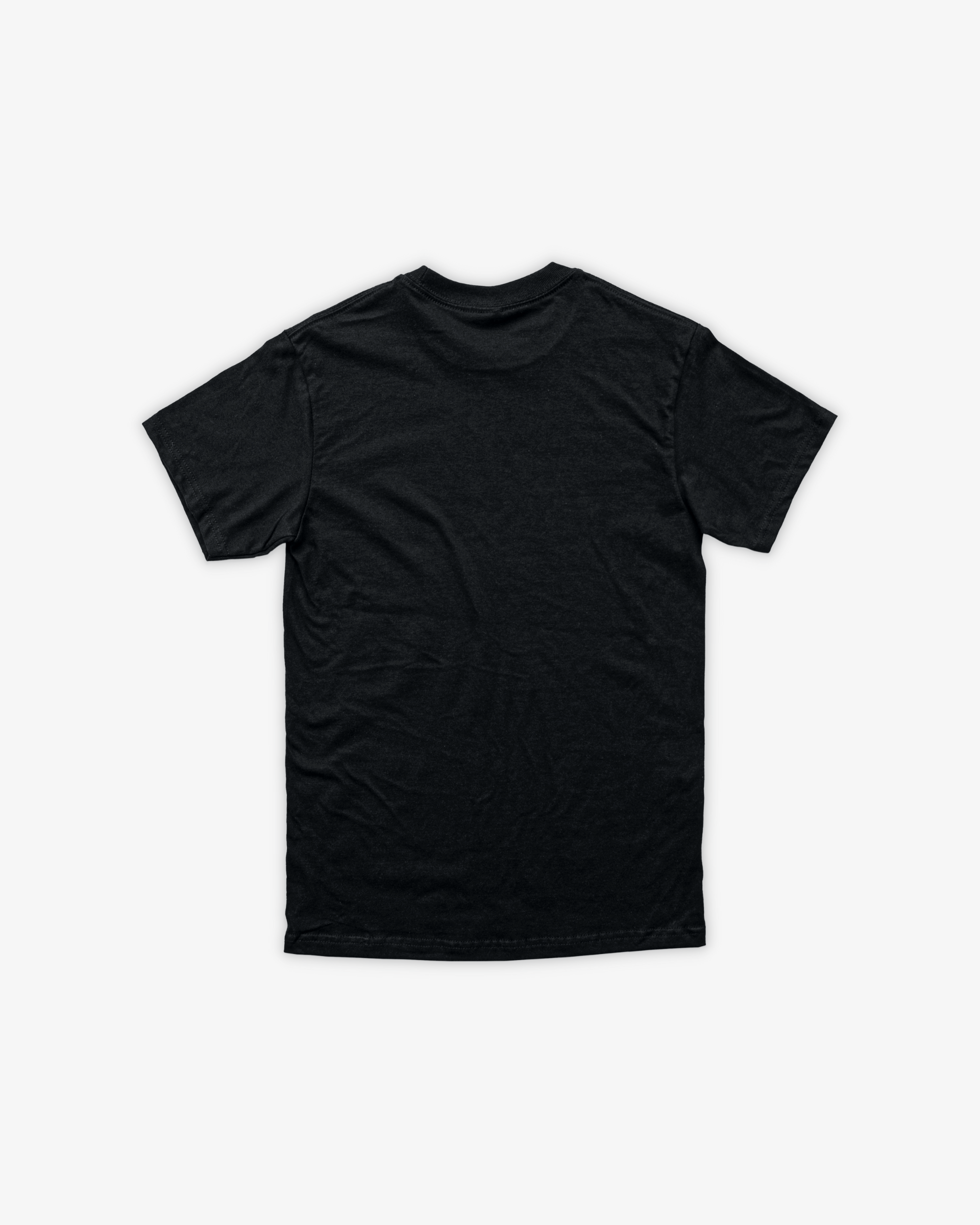 HEMP ASTER CLASSIC T-SHIRT - NEGRO