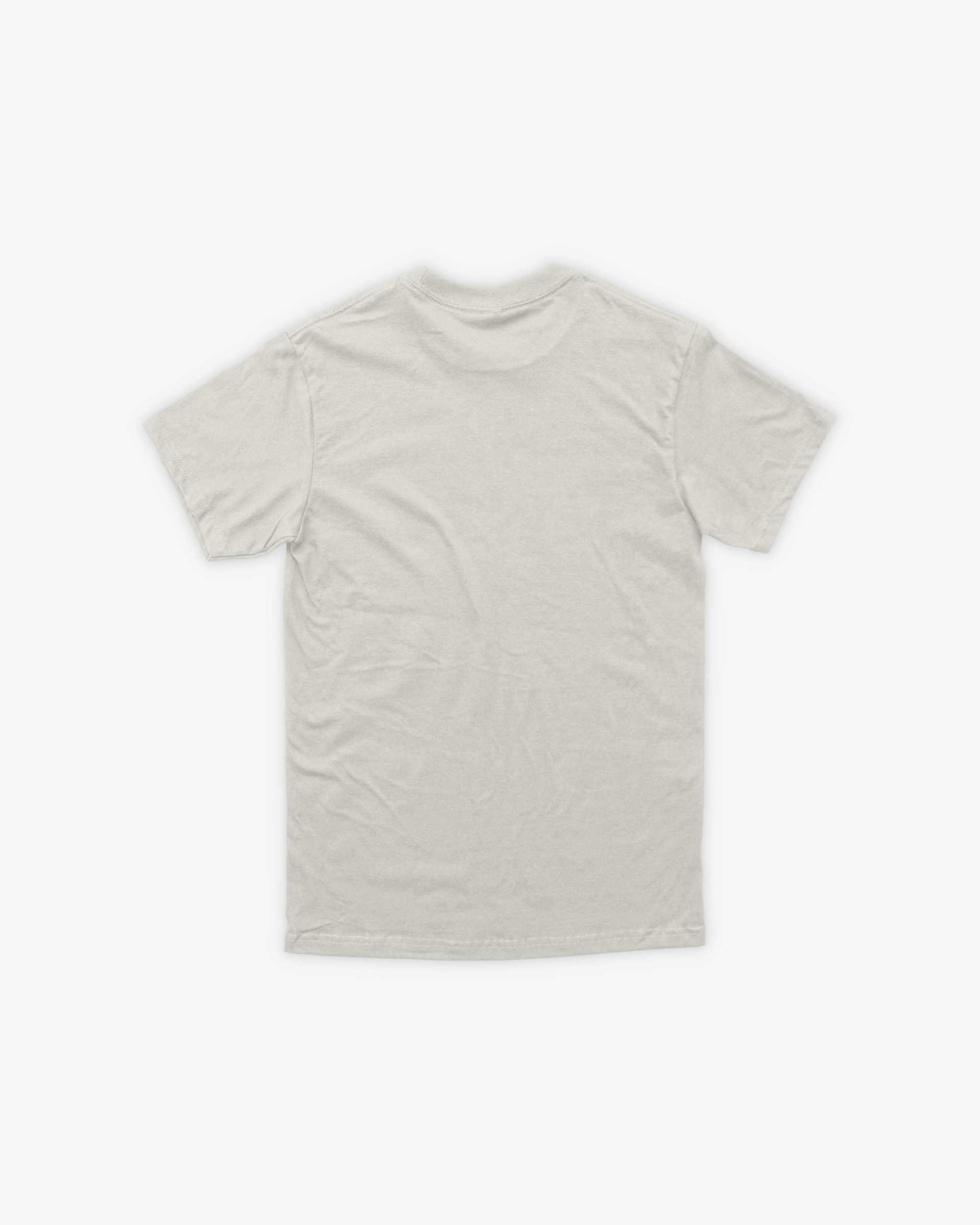 HEMP ASTER CLASSIC T-SHIRT - VERDE CLARO